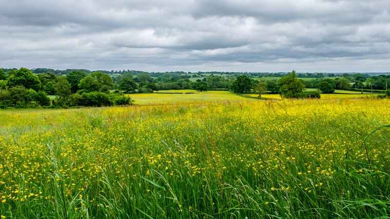 UK May '22 - Deference (Nick Drake) 010 - 5.jpg